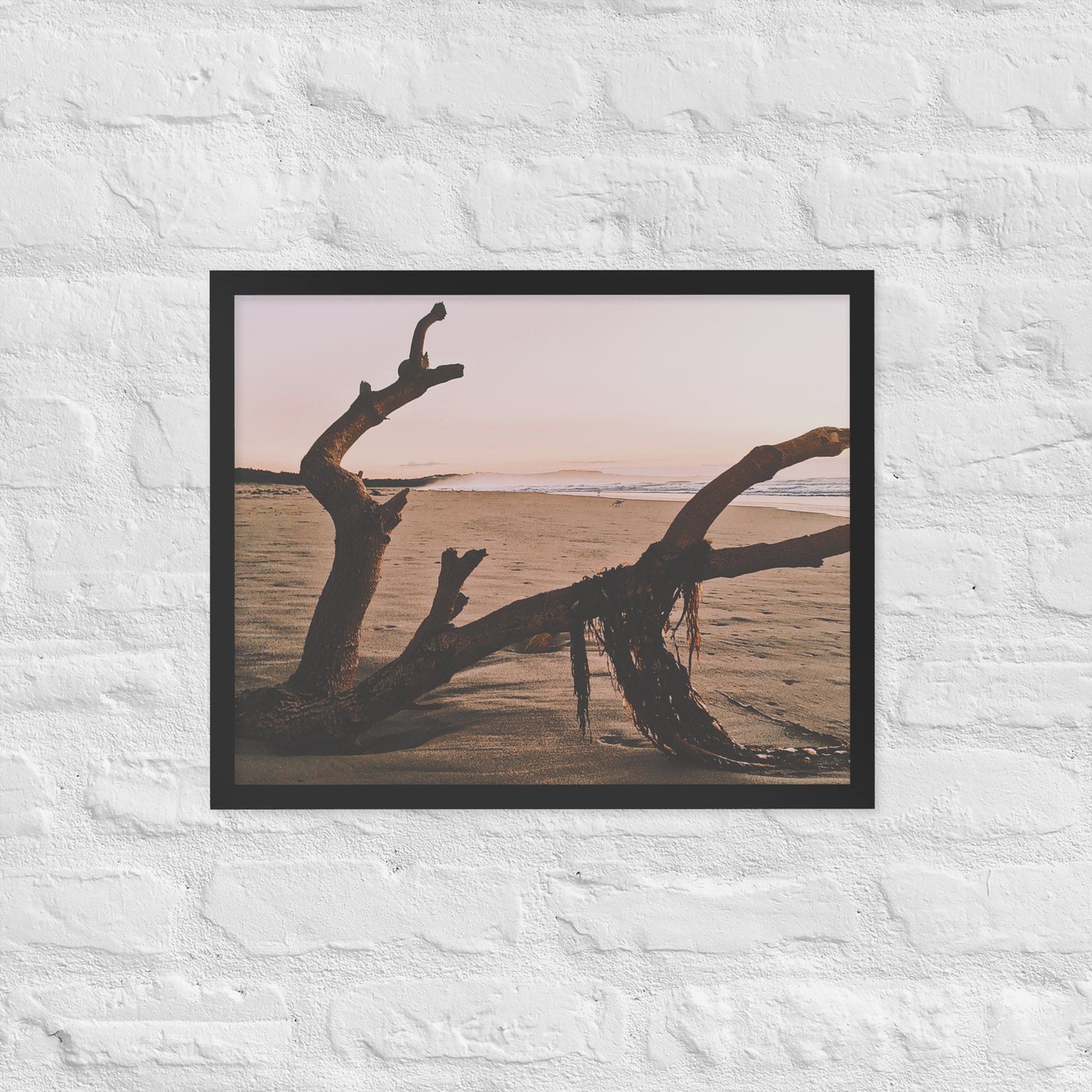Drift Wood