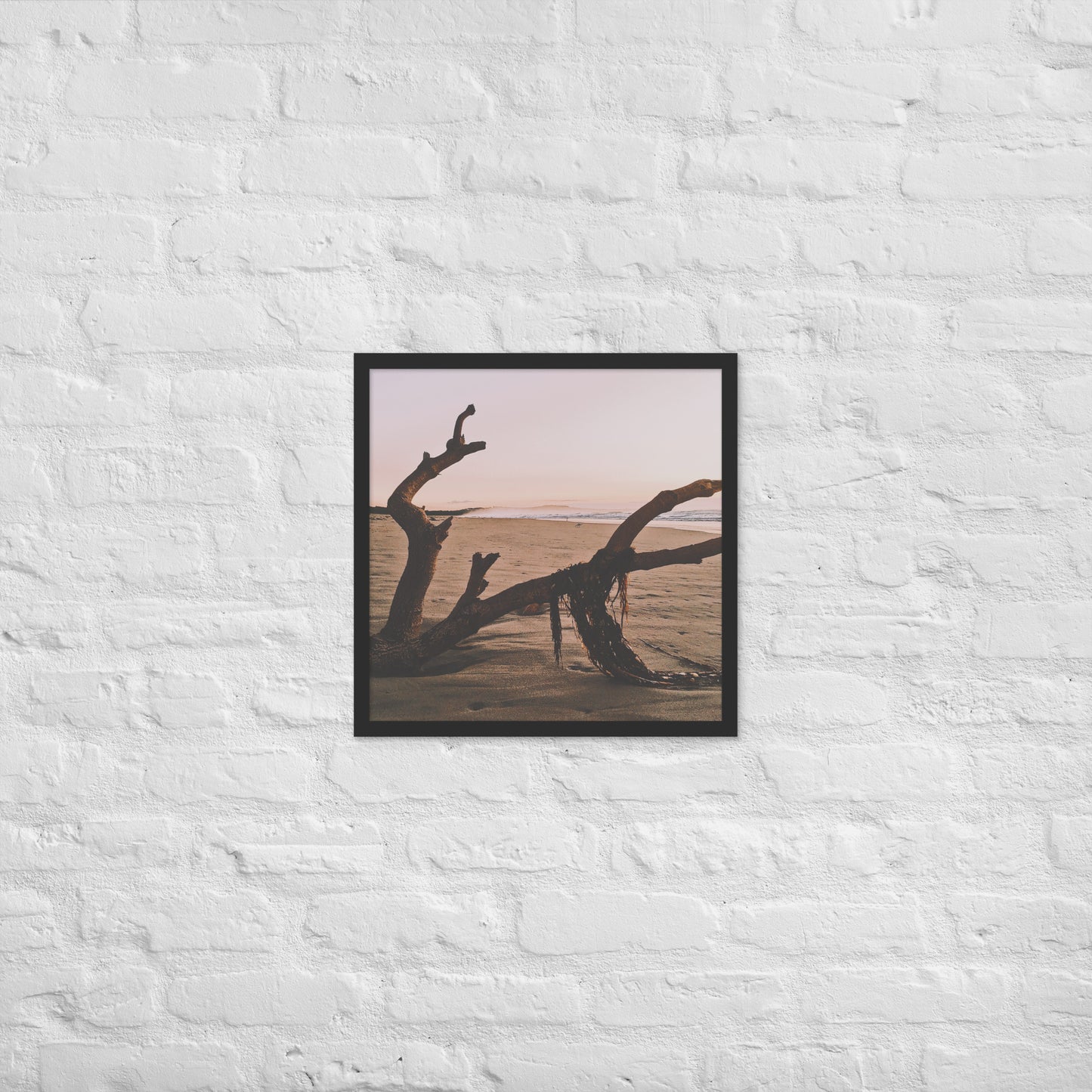 Drift Wood