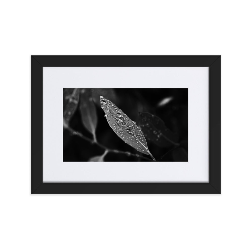 Droplets