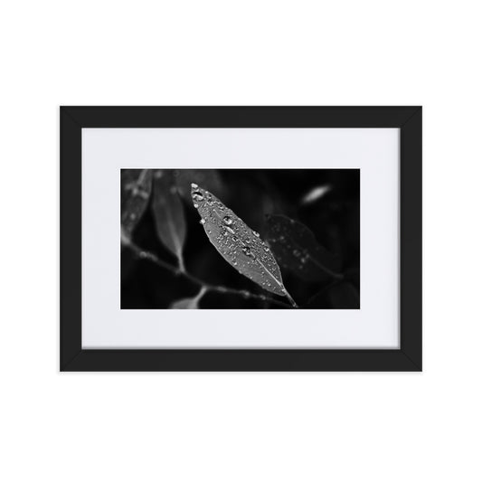 Droplets