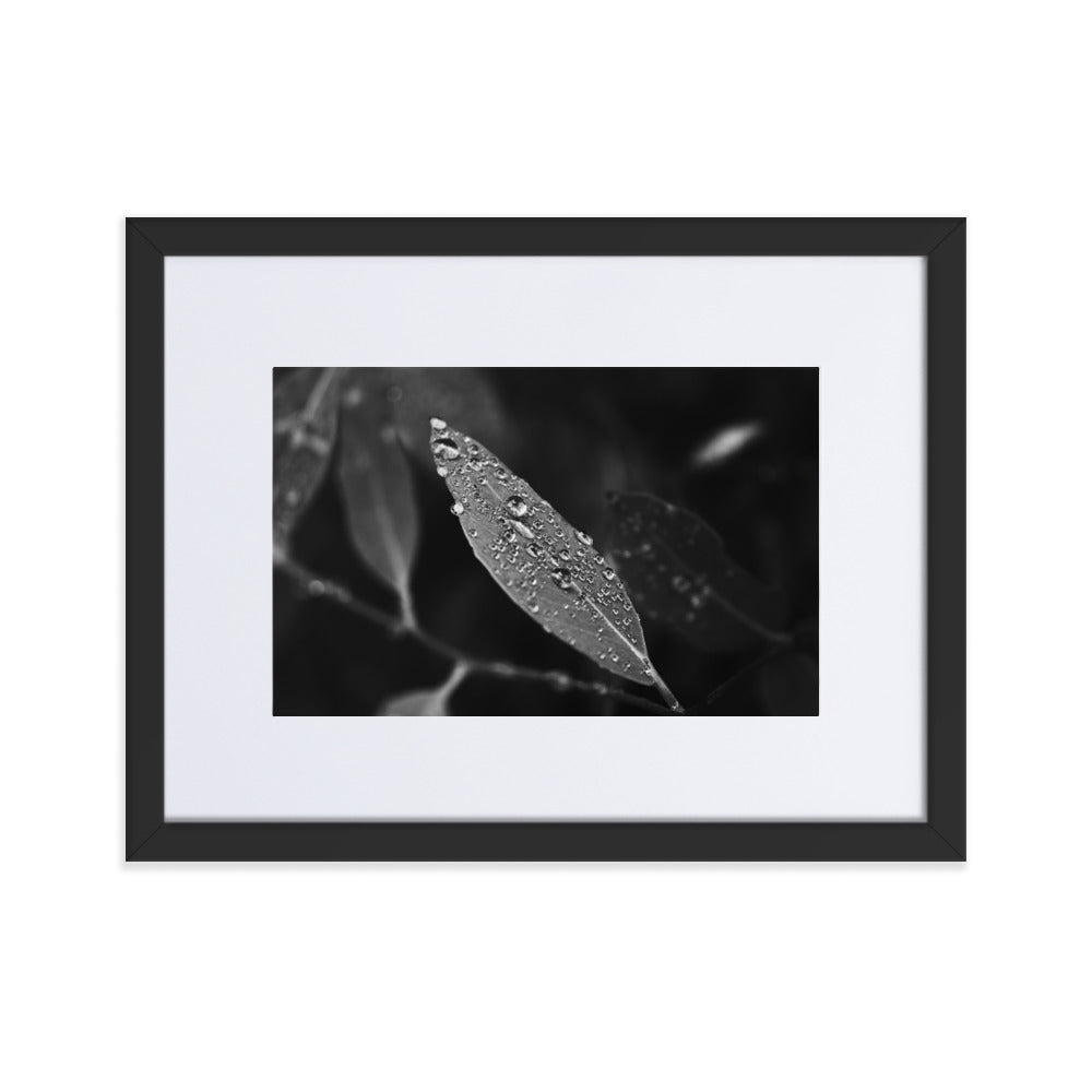 Droplets