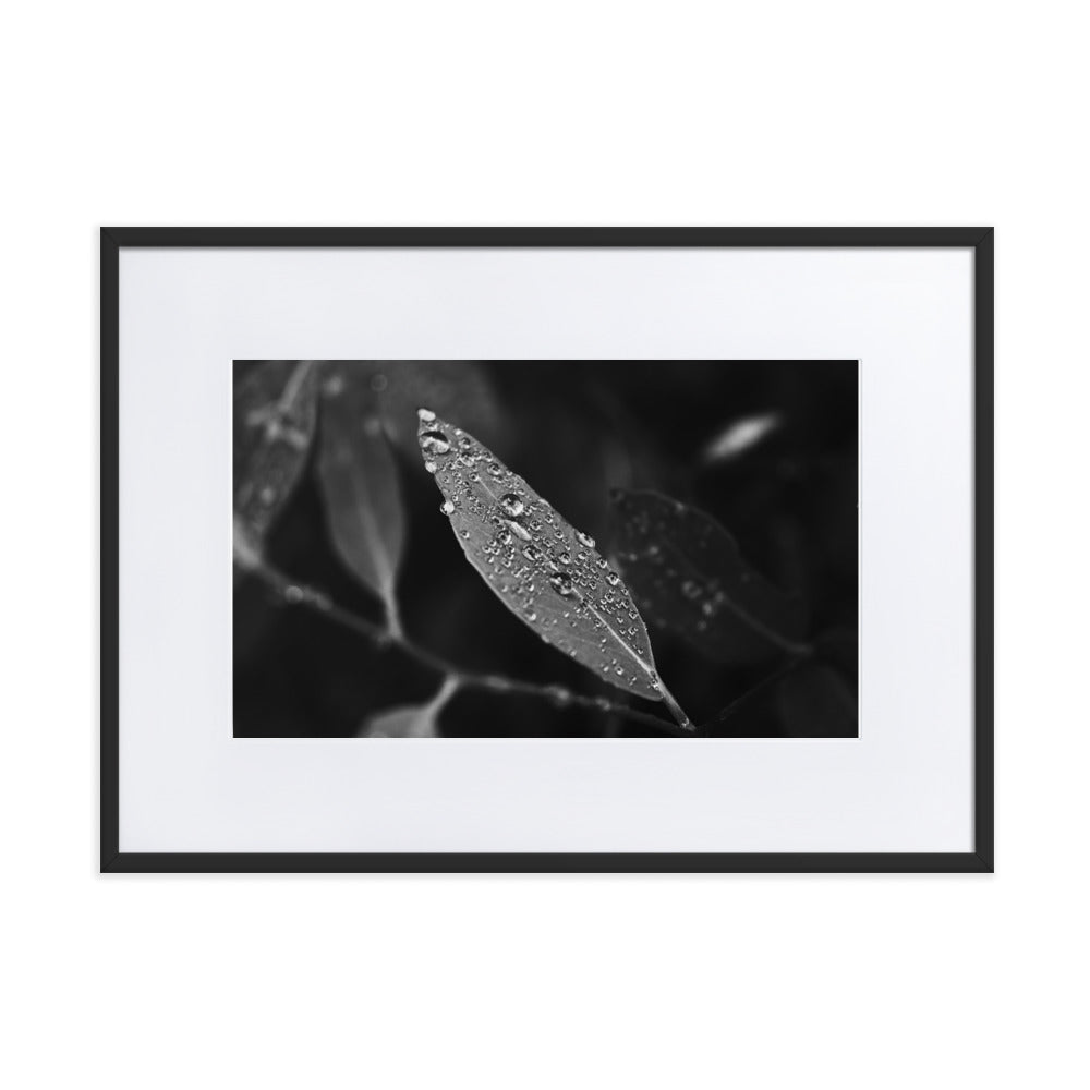 Droplets