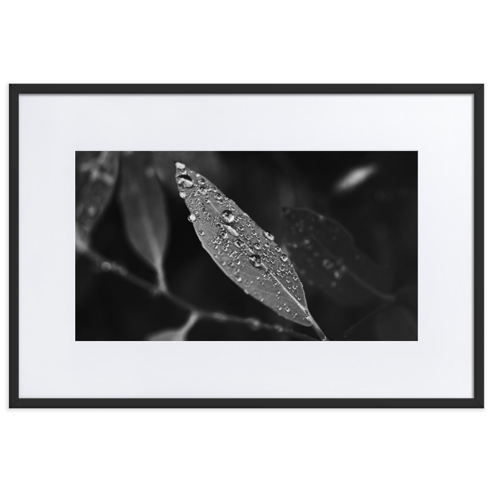 Droplets
