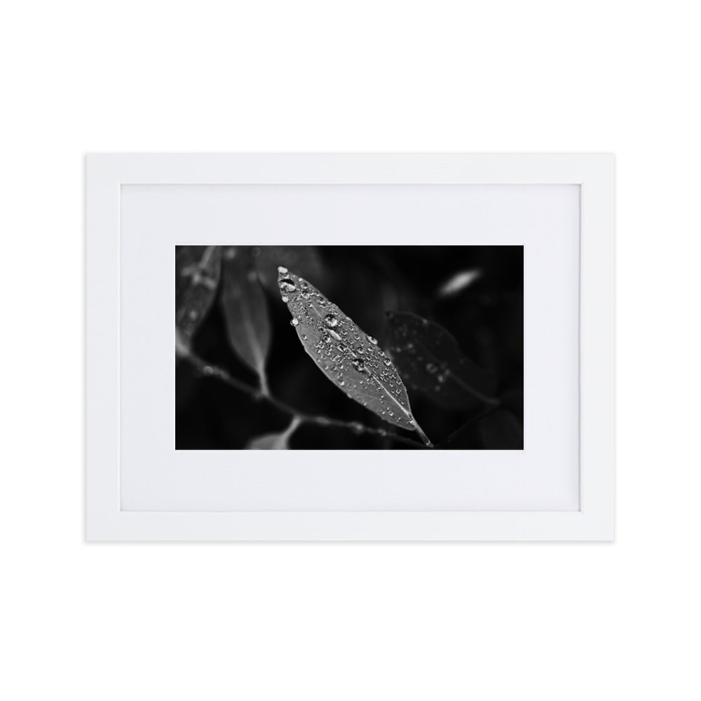 Droplets