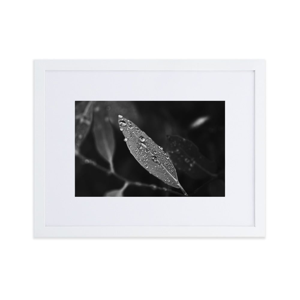 Droplets