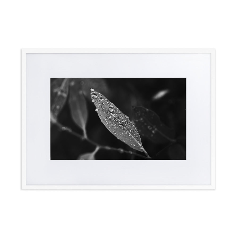 Droplets